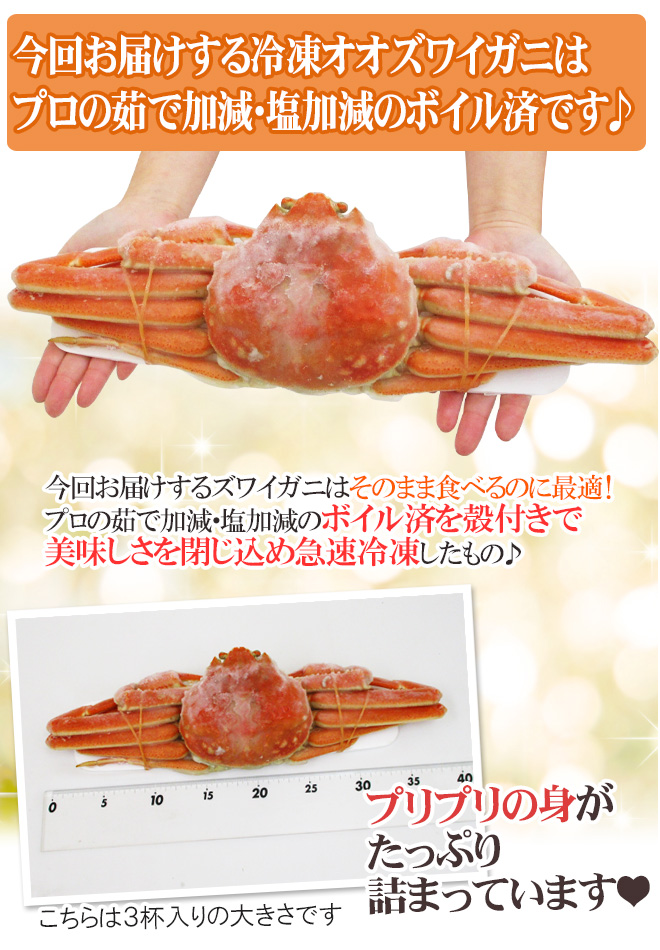 北海道産 冷凍 ”ボイルオオズワイガニ” 3〜4杯前後 約2kg 姿 ズワイ蟹