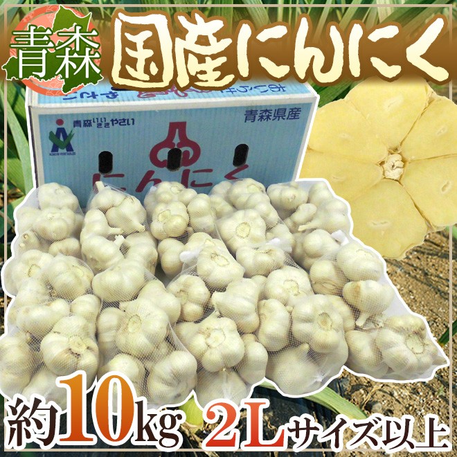 青森県 ”国産にんにく” 約10kg 等級A/B 2Lサイズ以上 送料無料