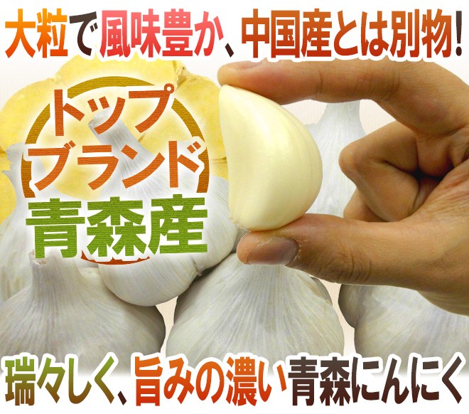 青森県 ”国産にんにく” 約3kg 等級A/B 2Lサイズ以上 送料無料