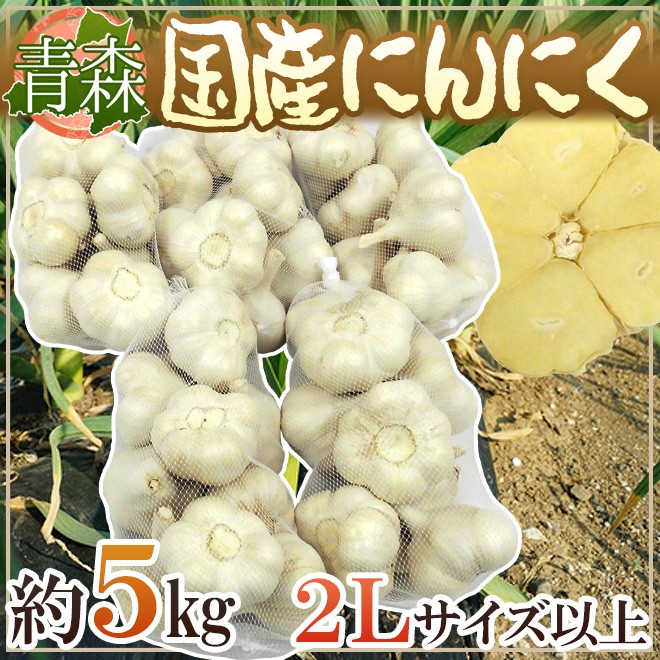 青森県 ”国産にんにく” 約5kg 等級A/B 2Lサイズ以上 送料無料