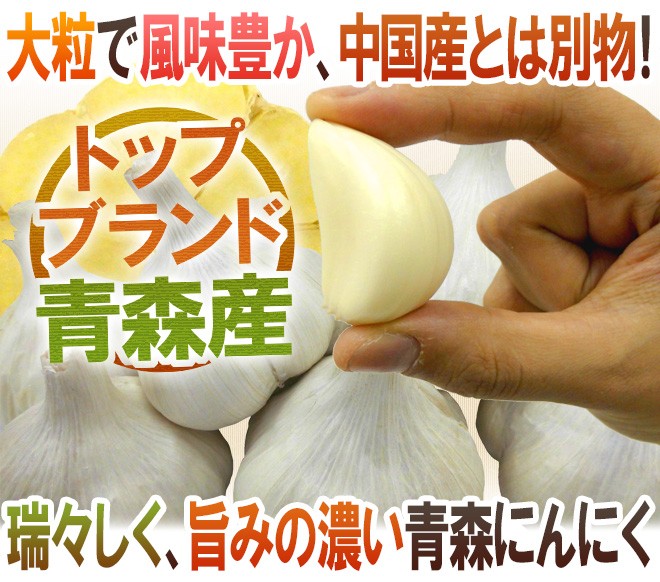 青森県 ”国産にんにく” 約5kg 等級A/B 2Lサイズ以上 送料無料