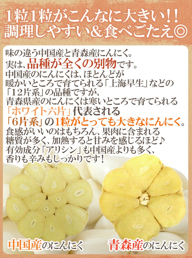 青森県産にんにくL、2Lサイズ種用5キロ 青森県 ”国産にんにく” 約5kg 等級A/B 2Lサイズ以上 送料無料