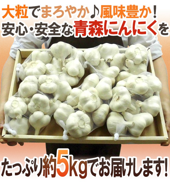 青森県産　生にんにく5Kg 青森県 ”国産にんにく” 約5kg 等級A/B 2Lサイズ以上 送料無料