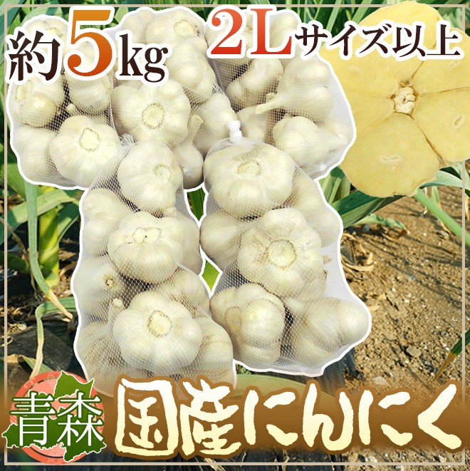 青森県産　にんにく　２Ｌ　５ｋｇ　特売 青森県 ”国産にんにく” 約5kg 等級A/B 2Lサイズ以上 送料無料