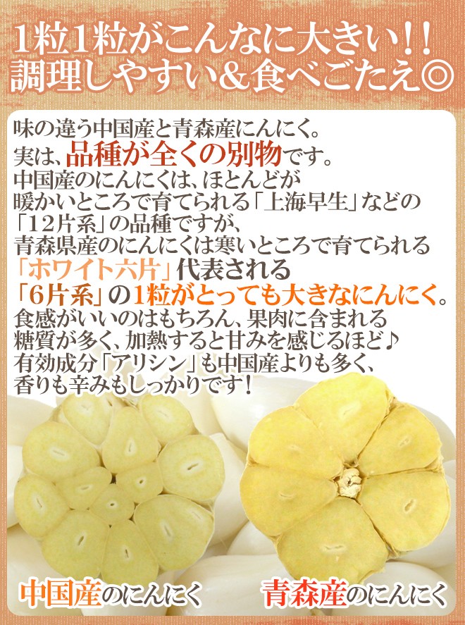 青森県 訳あり ”国産にんにく” 約10kg 送料無料 : くらし快援隊