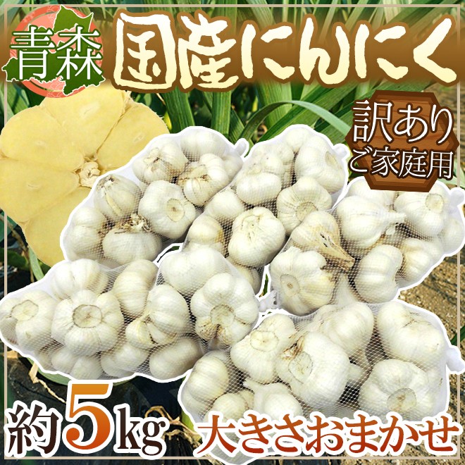 青森県 訳あり ”国産にんにく” 約5kg 送料無料 : 1049002-ninniku5kg