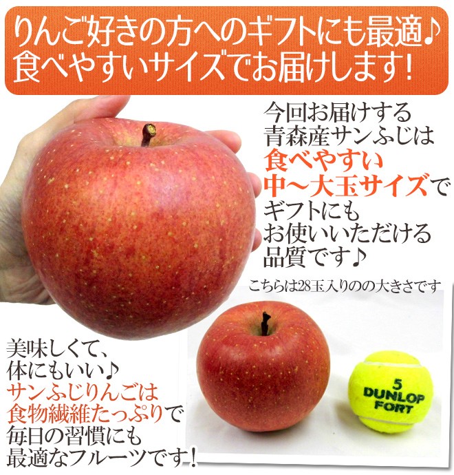 りんご 青森産 ”サンふじりんご” 24〜36玉前後 約10kg【予約 12月以降】 送料無料 :2024002-sfuji10kg:くらし快援隊 -  通販 - Yahoo!ショッピング