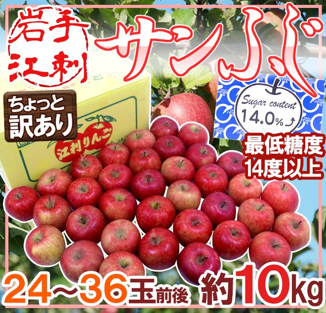 りんご 岩手江刺産 ”蜜入りサンふじ” ちょっと訳あり 24〜36玉 約10kg