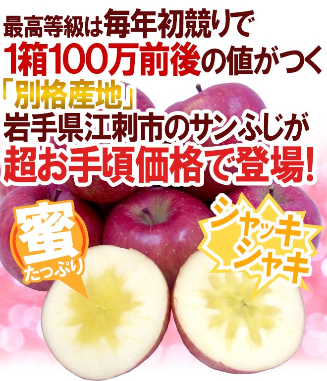りんご 岩手江刺産 ”蜜入りサンふじ” ちょっと訳あり 24〜36玉 約10kg