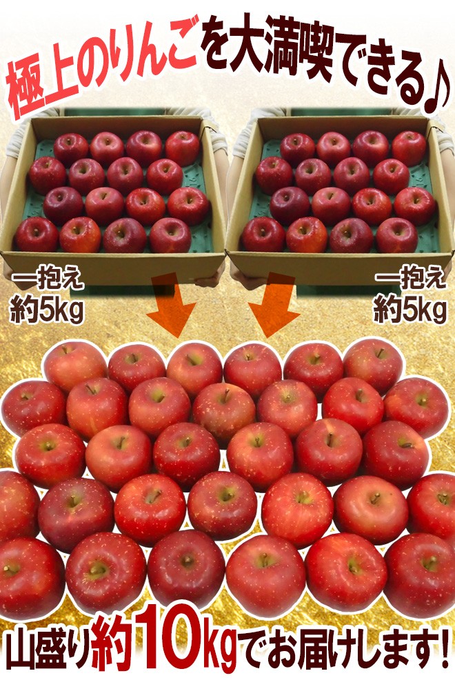 りんご 岩手江刺産 ”蜜入りサンふじ” 秀品 24〜36玉 約10kg【予約 11