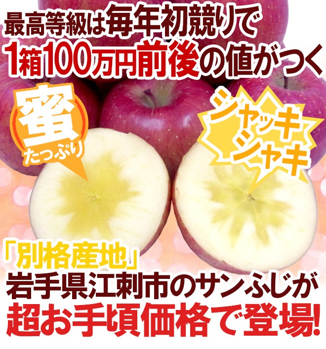 りんご 岩手江刺産 ”蜜入りサンふじ” 秀品 12〜18玉 約5kg【予約 11