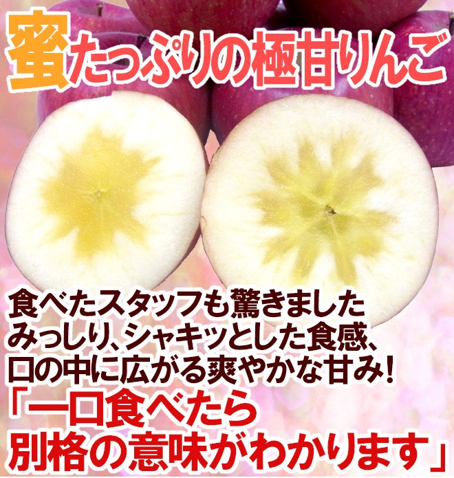 岩手県江刺産りんご☆訳ありサンふじ りんご 岩手江刺産 ”蜜入りサンふじ” ちょっと訳あり 24〜36玉 約10kg