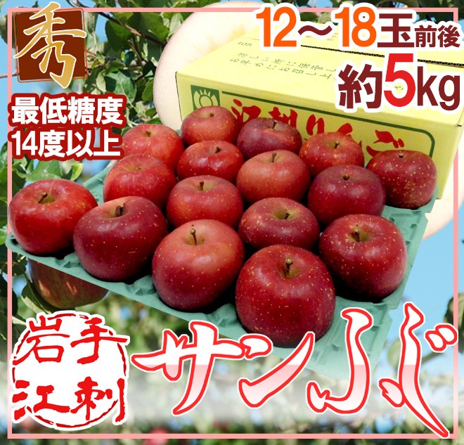 品質保証 りんご 岩手江刺産 ”蜜入りサンふじ” 秀品 12～18玉 約5kg 送料無料 notimundo.com.ec