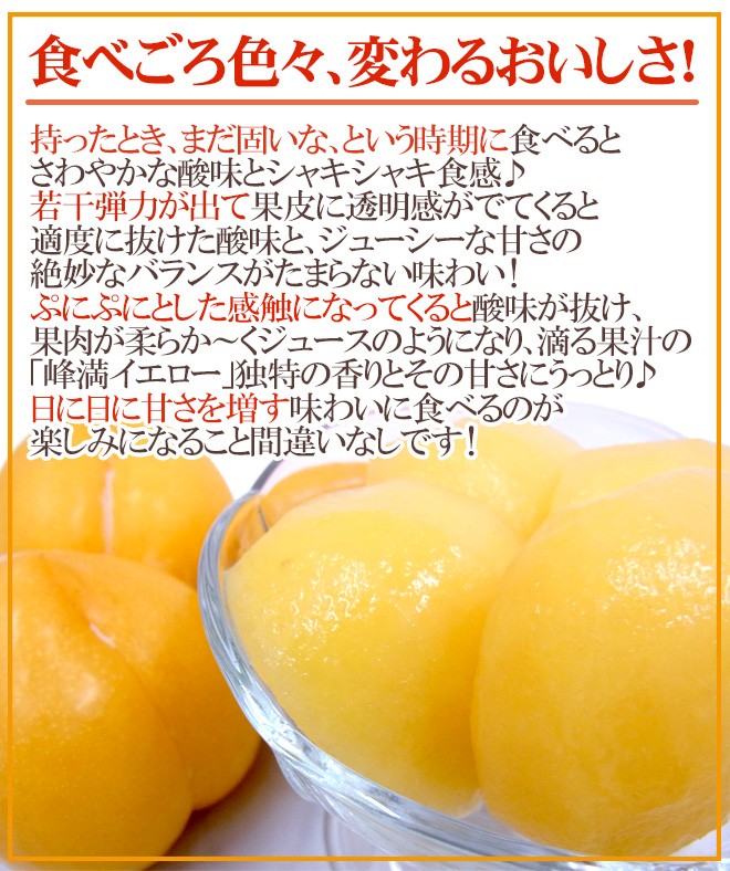 山形産 ”峰満イエロー” 秀品 大玉10〜15玉前後 約2kg 化粧箱【予約 9月