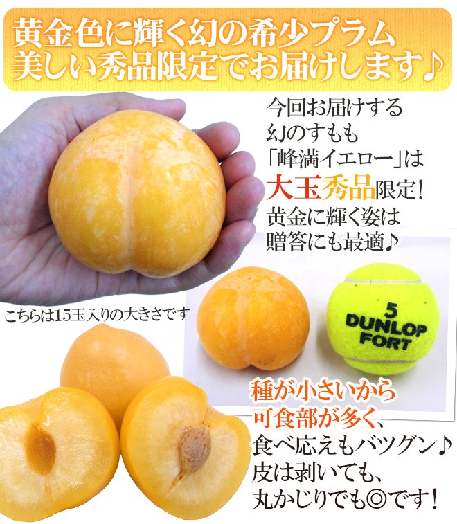 山形産 ”峰満イエロー” 秀品 大玉10〜15玉前後 約2kg 化粧箱【予約 9月