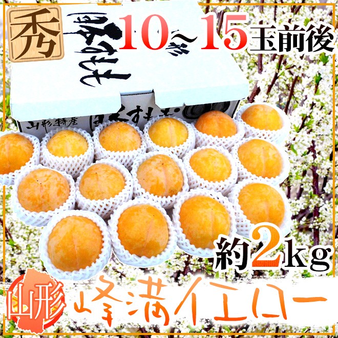 山形産 ”峰満イエロー” 秀品 大玉10〜15玉前後 約2kg 化粧箱【予約 9月