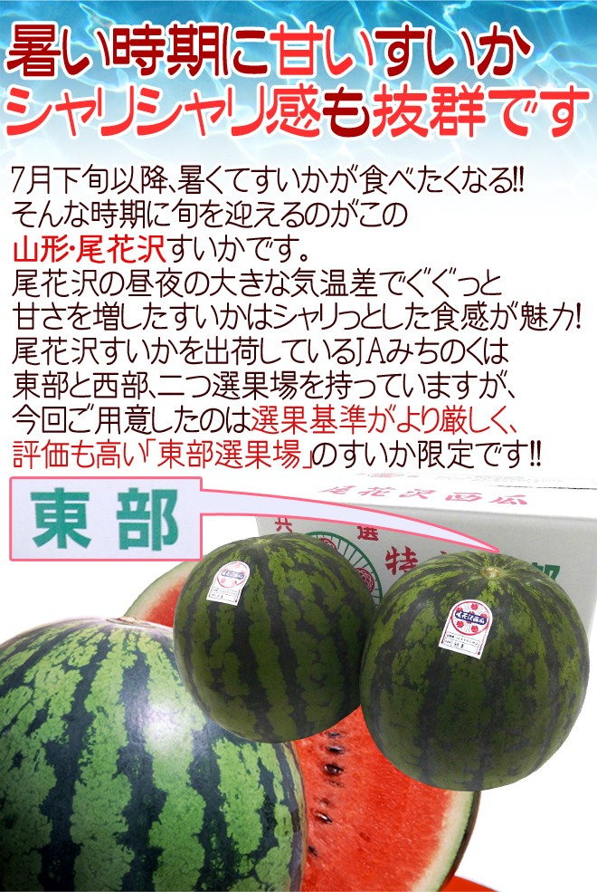 訳あり超大玉スイカ20kg山形県尾花沢スイカ　タイムセール 山形県産 ”尾花沢スイカ” 大玉 5Lサイズ 2玉入り 約20kg