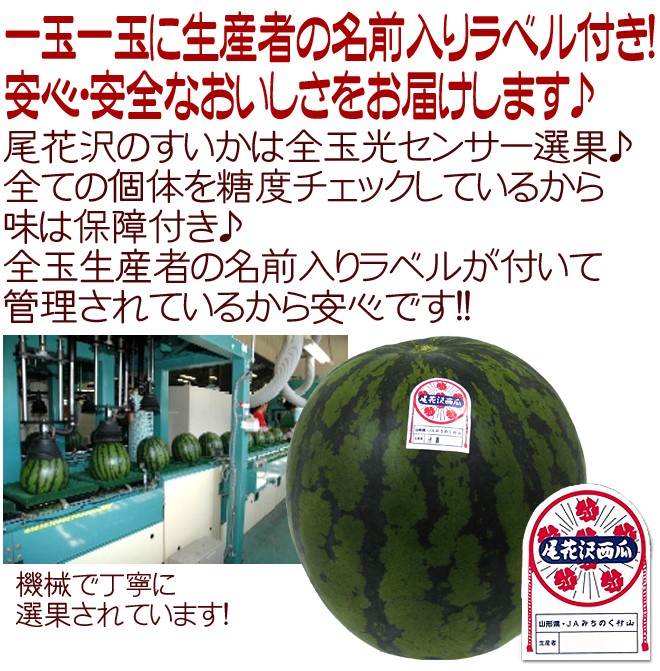 0365山形県産尾花沢大玉スイカ訳ありC品5Lサイズ1箱2玉入り 山形県産 ”尾花沢スイカ” 大玉 5Lサイズ 2玉入り 約20kg