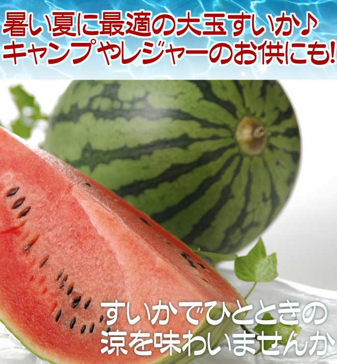 訳あり超大玉スイカ20kg山形県尾花沢スイカ　タイムセール 山形県産 ”尾花沢スイカ” 大玉 5Lサイズ 2玉入り 約20kg
