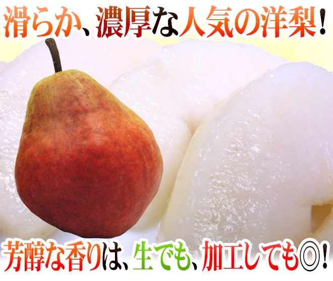 山形産 ”レッドバートレット” 秀品 12〜20玉前後 約5kg 洋梨【予約 9月