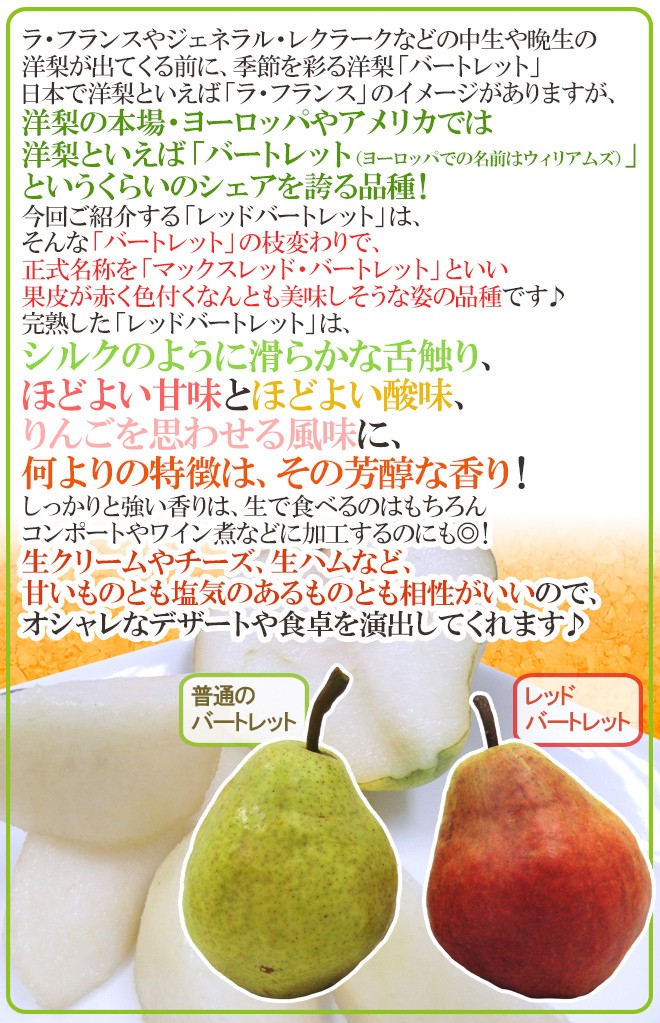 山形産 ”レッドバートレット” 秀品 12〜20玉前後 約5kg 洋梨【予約 9月