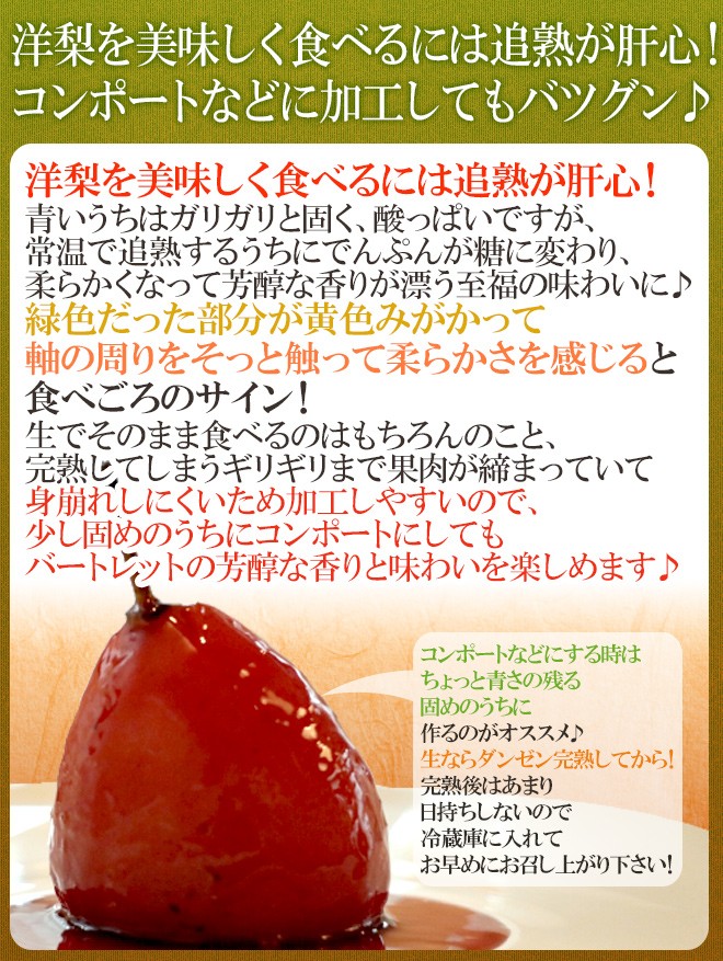 山形産 ”レッドバートレット” 秀品 12〜20玉前後 約5kg 洋梨【予約 9月
