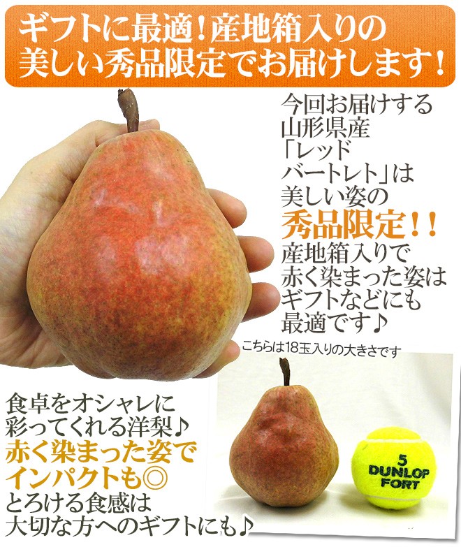 山形産 ”レッドバートレット” 秀品 12〜20玉前後 約5kg 洋梨【予約 9月