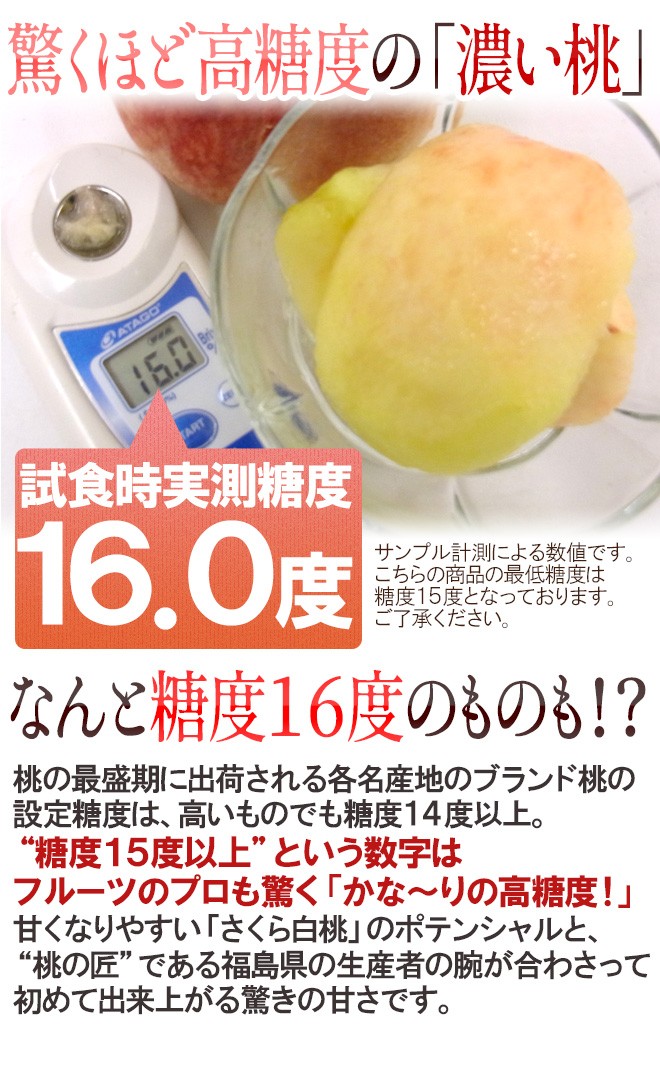 まとめ買い特価 福島県産 ”さくら白桃” 特選品 7〜9玉前後 約2.5kg 化粧箱 糖度15度以上 送料無料 