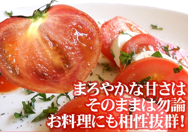 群馬県産 ”ブリックスナイン” 12〜20玉前後 風袋込約1kg 化粧箱 群馬県産 ”ブリックスナイン” 12〜20玉前後 風袋込約1kg 化粧箱