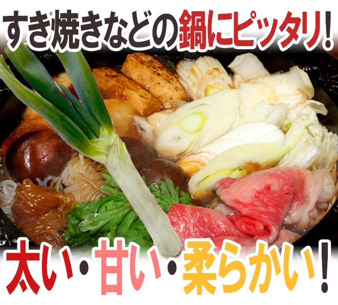 群馬県 ”下仁田ネギ” 4〜10本前後 約1kg 殿様ねぎ【予約 11月中下旬以降】 送料無料  :1007010-shimonita1kg:くらし快援隊 - 通販 - Yahoo!ショッピング