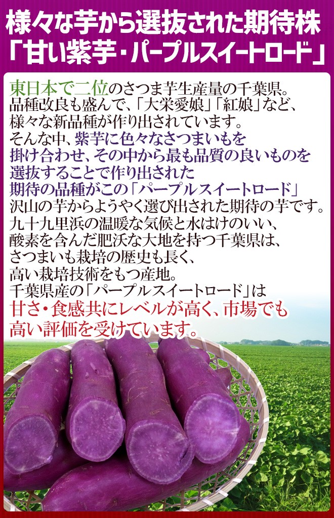 千葉県産 ”パープルスイートロード” 秀品 約2.5kg 紫芋 さつまいも【予約 10月以降】 送料無料  :1043012-purple25kg:くらし快援隊 - 通販 - Yahoo!ショッピング