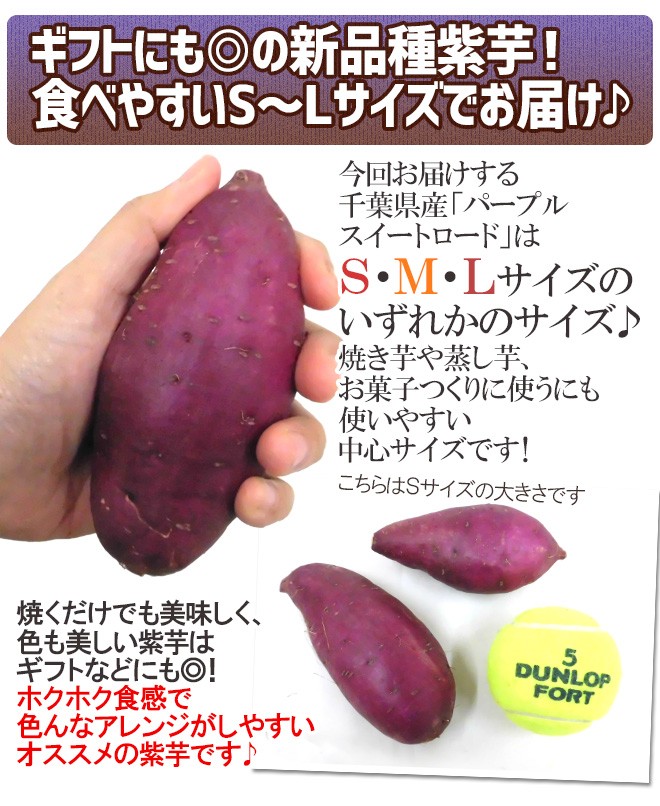 千葉県産 ”パープルスイートロード” 秀品 約5kg 紫芋 さつまいも【予約