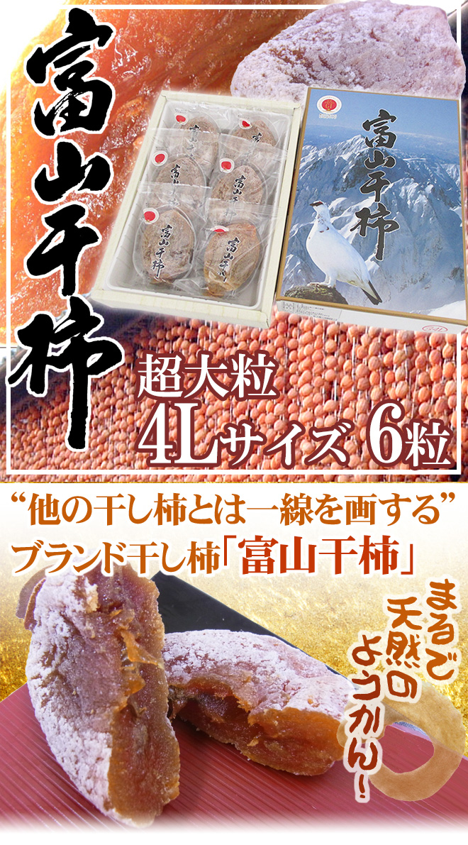 富山産 ”富山干柿” 4Lサイズ 特大粒 6個入 化粧箱【予約 12月