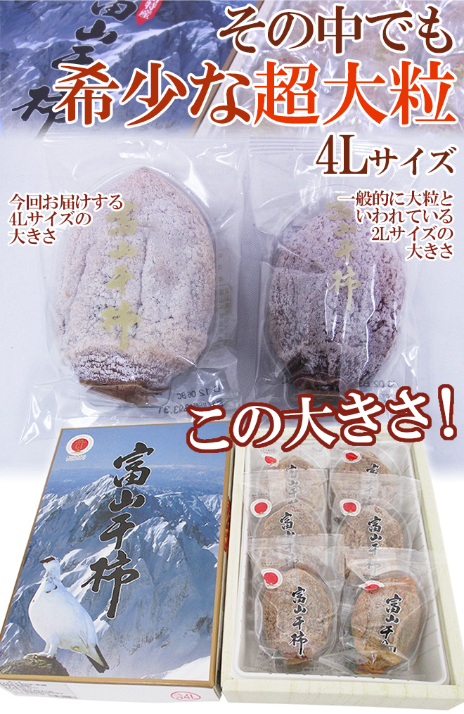 富山産 ”富山干柿” 4Lサイズ 特大粒 6個入 化粧箱【予約 12月中旬以降