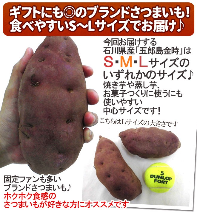 最終値下げ 大特価 加賀野菜 五郎島金時 ホクホクお芋 M〜Lサイズ 5kg