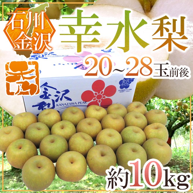 石川県 金沢産 ”幸水梨” 秀品 20〜28玉前後 約10kg【予約 8月末以降