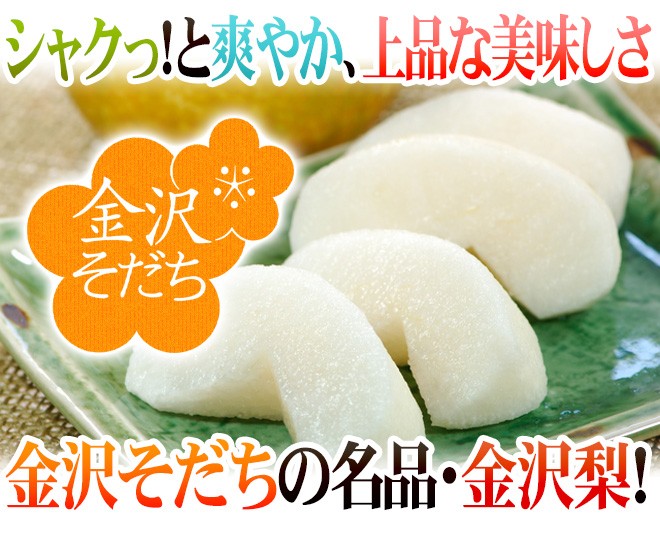 石川県 金沢産 ”幸水梨” 秀品 20〜28玉前後 約10kg【予約 8月末以降