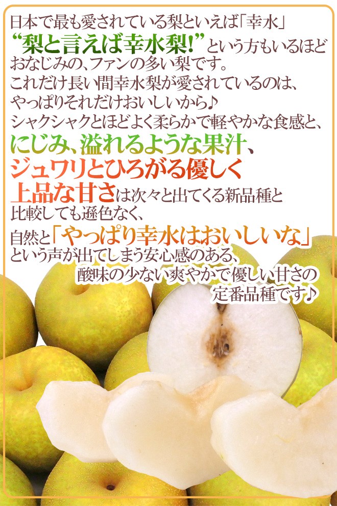 石川県 金沢産 ”幸水梨” 秀品 20〜28玉前後 約10kg【予約 8月末以降