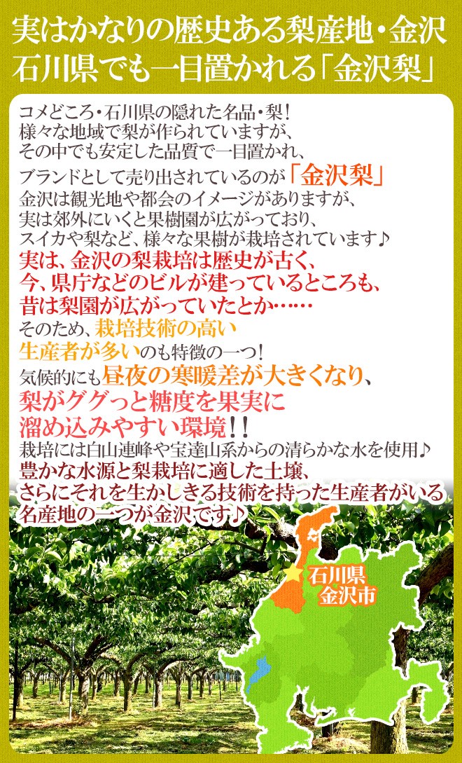 石川県 金沢産 ”幸水梨” 秀品 20〜28玉前後 約10kg【予約 8月末以降