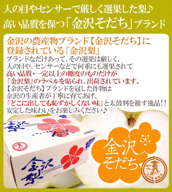 石川県 金沢産 ”幸水梨” 秀品 20〜28玉前後 約10kg【予約 8月末以降