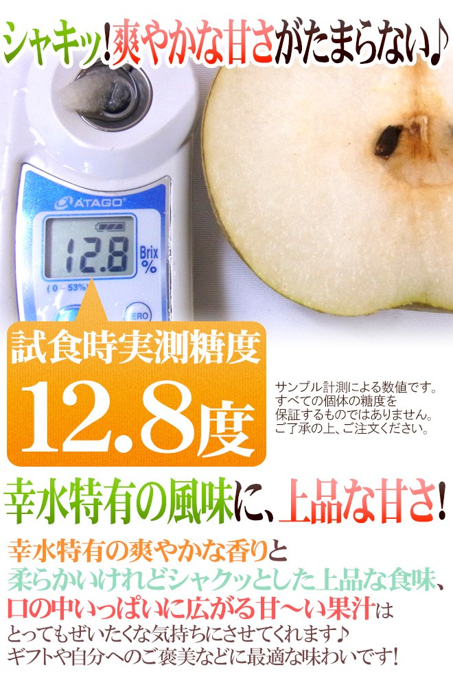 石川県 金沢産 ”幸水梨” 秀品 20〜28玉前後 約10kg【予約 8月末以降