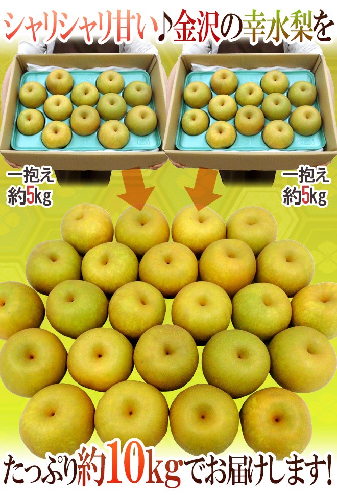 石川県 金沢産 ”幸水梨” 秀品 20〜28玉前後 約10kg【予約 8月末以降