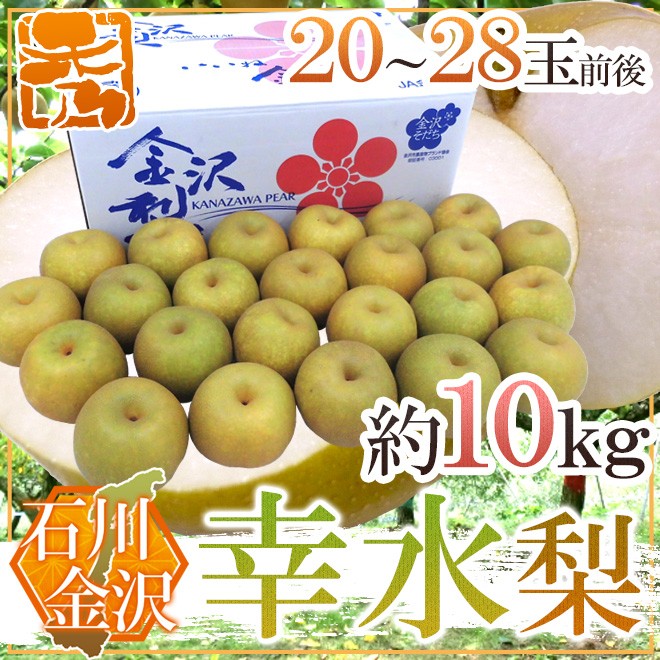 石川県 金沢産 ”幸水梨” 秀品 20〜28玉前後 約10kg【予約 8月末以降