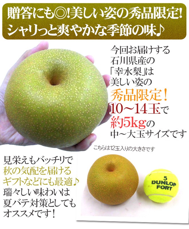 石川県 金沢産 幸水梨” 秀品 10〜14玉前後 約5kg【予約 8月末以降