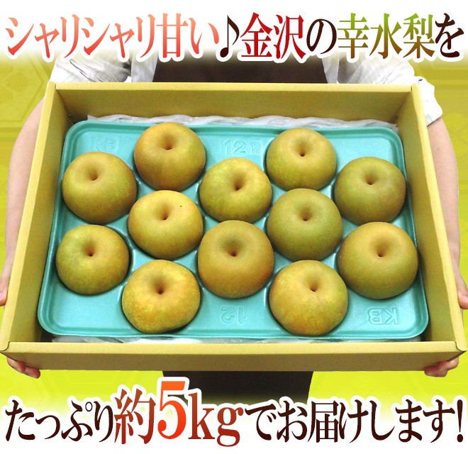石川県 金沢産 幸水梨” 秀品 10〜14玉前後 約5kg【予約 8月末以降