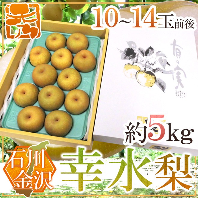 石川県 金沢産 幸水梨” 秀品 10〜14玉前後 約5kg【予約 8月末