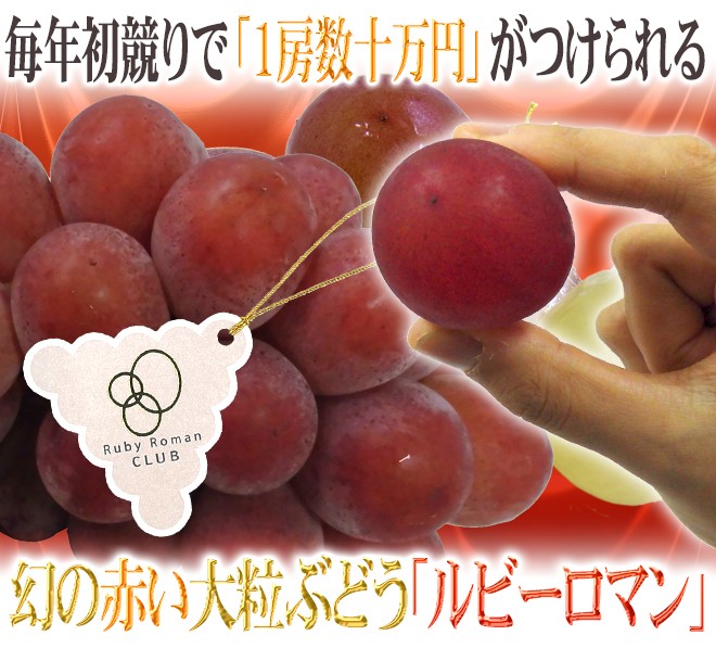 ぶどう 石川産 ”ルビーロマン” 1房 約600g以上【予約 8月以降】 送料