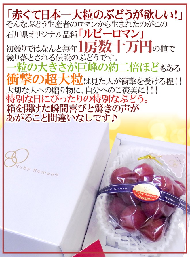 ぶどう 石川産 ”ルビーロマン” 1房 約600g以上【予約 8月以降】 送料