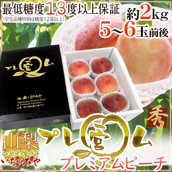 山梨県産 ”一宮 プレミアムピーチ 水蜜糖” 2玉入り 約800g（風袋込