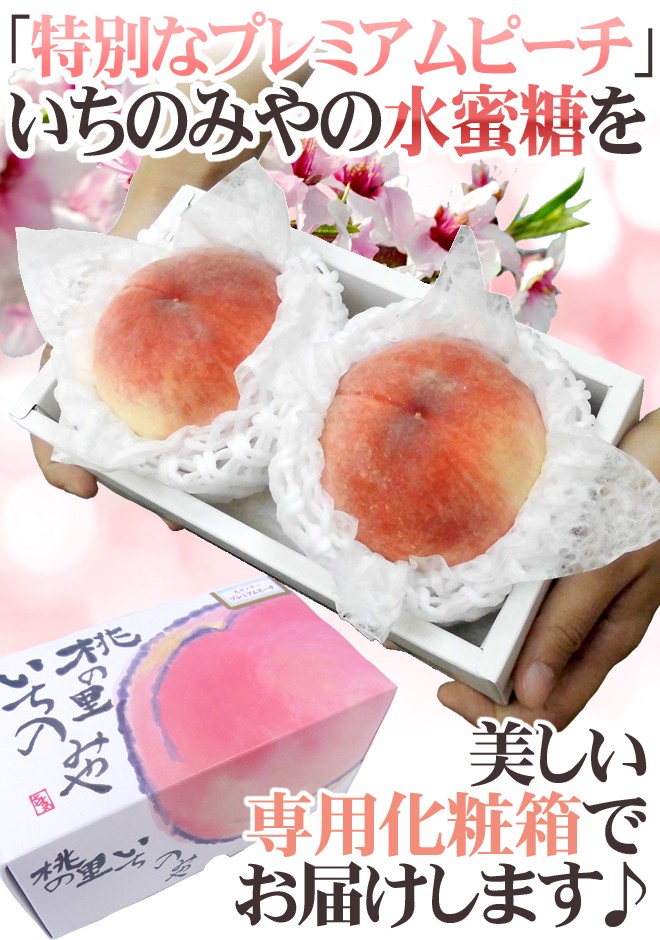 山梨県産 ”一宮 プレミアムピーチ 水蜜糖” 2玉入り 約800g（風袋込